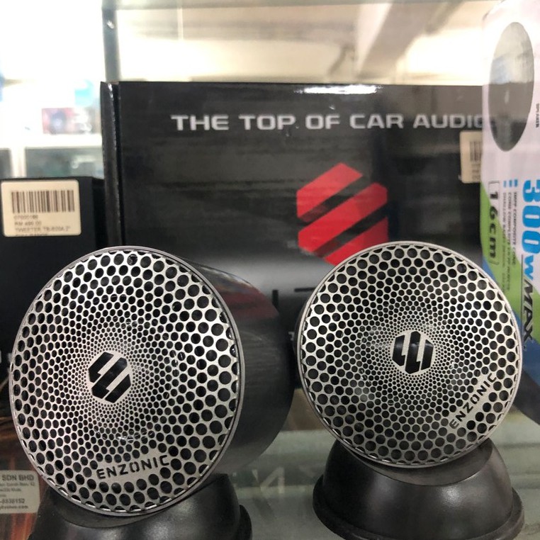 Enzonic full range store speaker