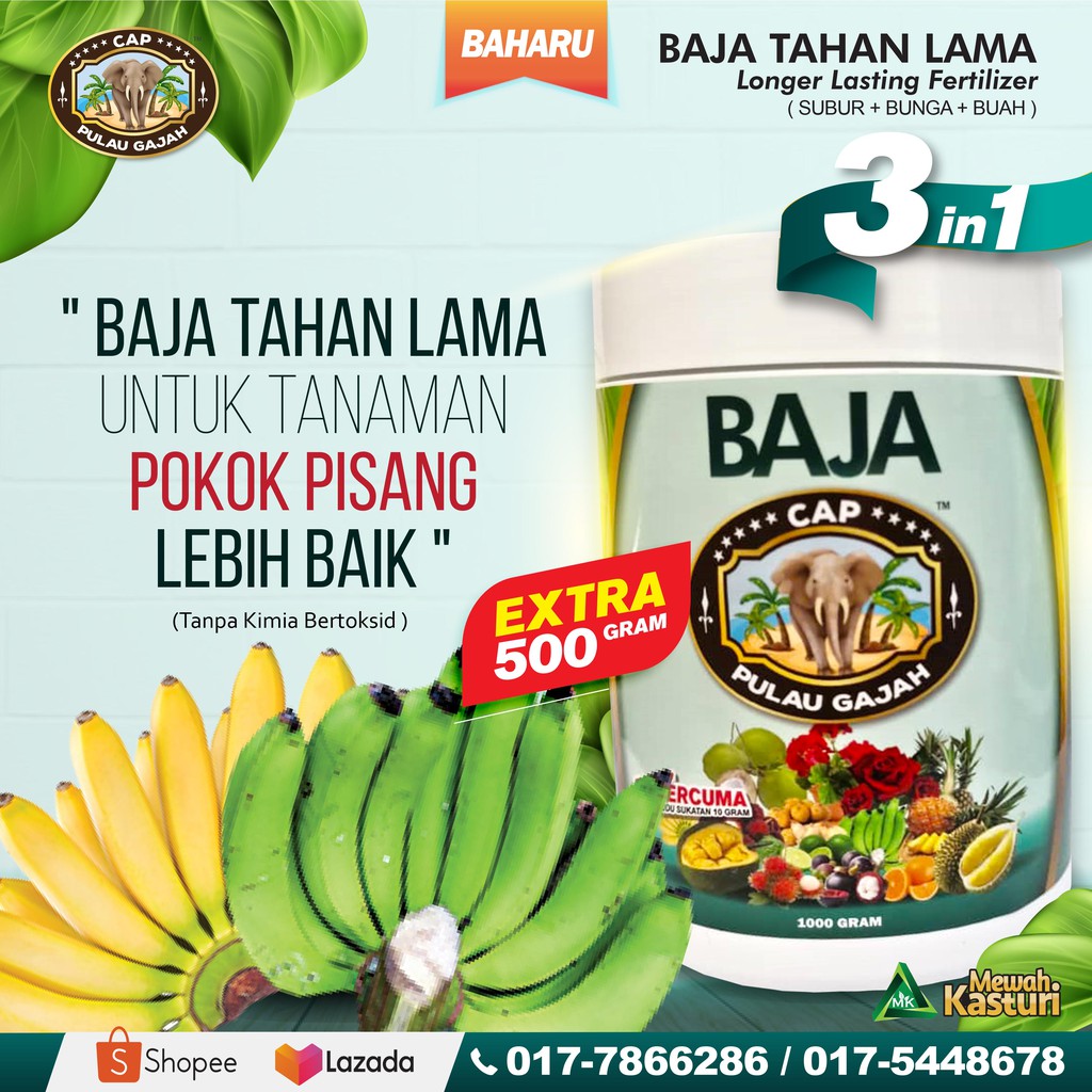 Baja Pokok Pisang Dan Buah Buahan 13 Sumber Nutrein Semulajadi In 1 Pack Mini Lengkap 1 Kg Extra 500 Gram Shopee Malaysia