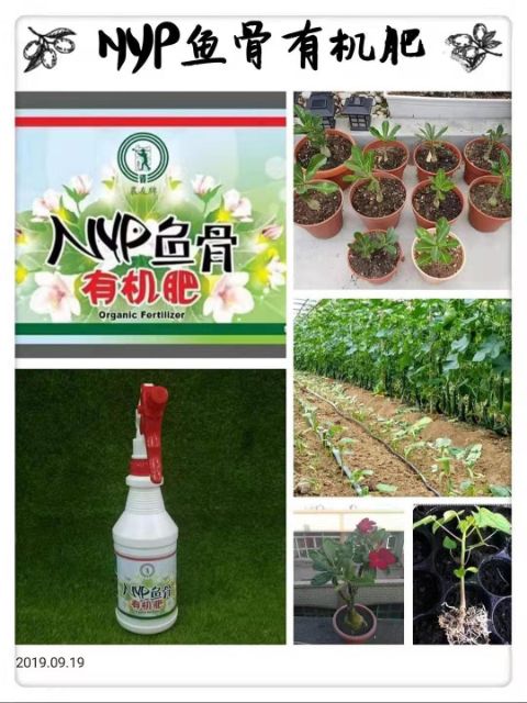 Nyp鱼骨有机肥 主要的优点 100 Organic 富贵花 各类花草果树蔬菜都能服用维生素 使农作物快速吸收养分 增加土壤的肥力 可调理土质的酸性