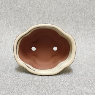  bonsai  pot  mini 3 5 inch murah Shopee  Malaysia