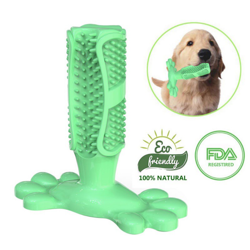 Dog Toothbrush Toy With Toothpaste Wow Blog