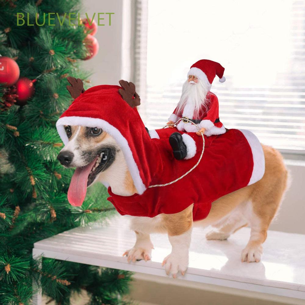 funny dog christmas costumes