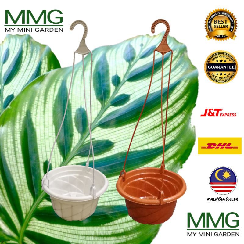 17cm diameter pot with hanger tali gantung dan pasu bunga pasu putih