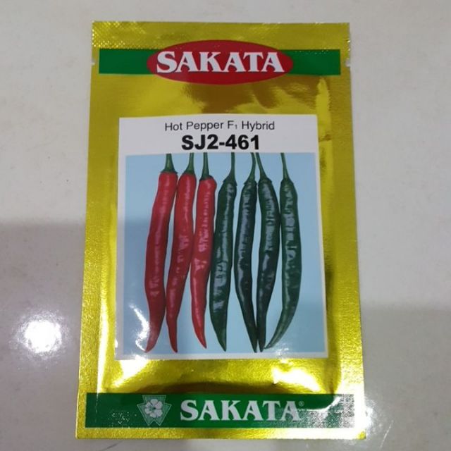 💥TOP💥F1 HIBRID HOT PEPPER CILI SAKATA IMPORT Repack 30 biji