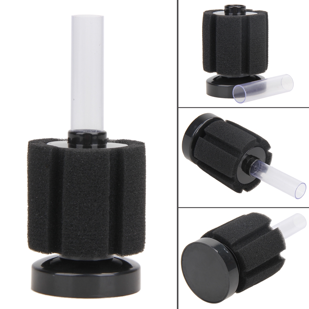 How To Use An Aquarium Air Pump (and Make Them Quieter) Aquarium Co