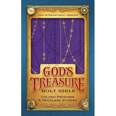 Niv God S Treasure Holy Bible Leathersoft Amethyst Golden Promises And Priceless Stories Shopee Malaysia