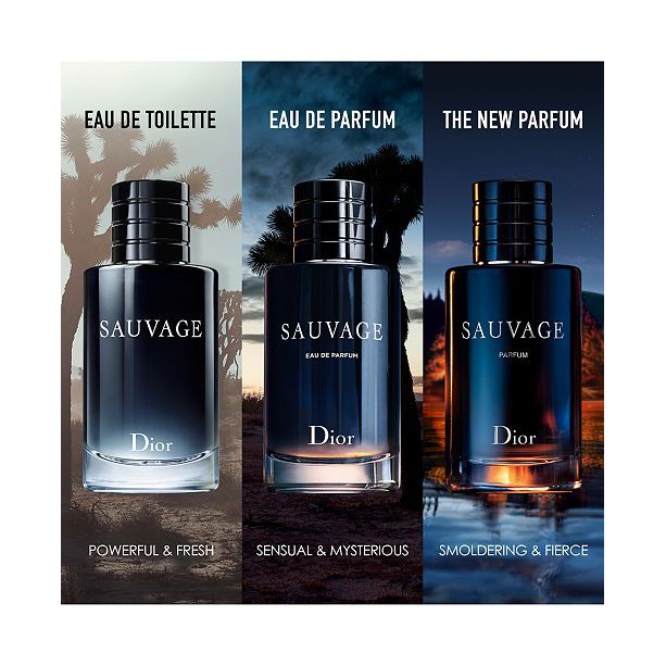 dior sauvage 3 types