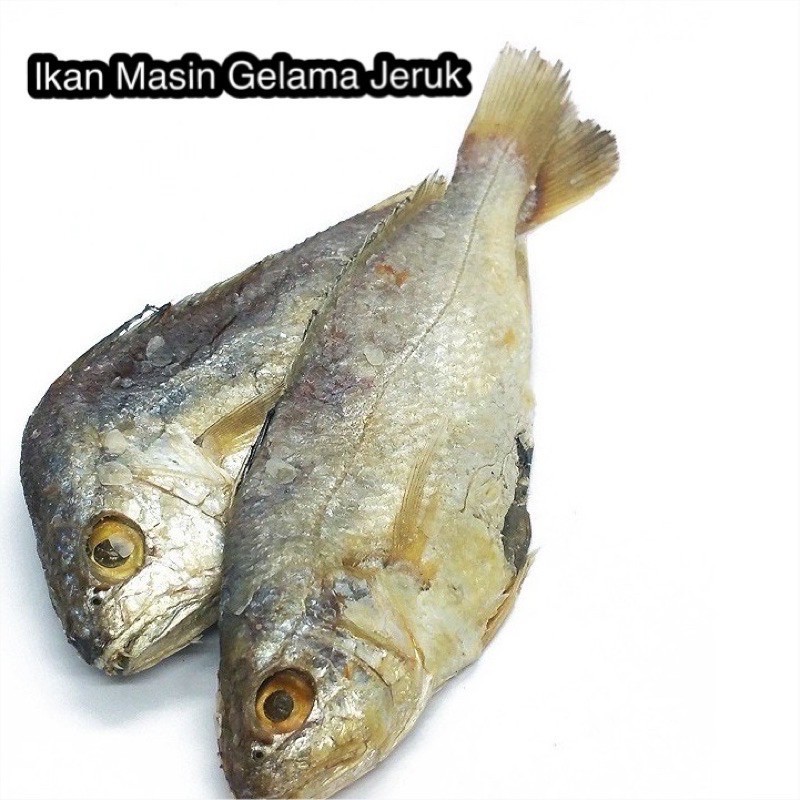 Ikan Masin Gelama Jeruk Salted Fish 咸鱼 300g 500g 1kg