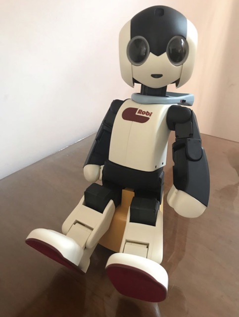 robi robot amazon