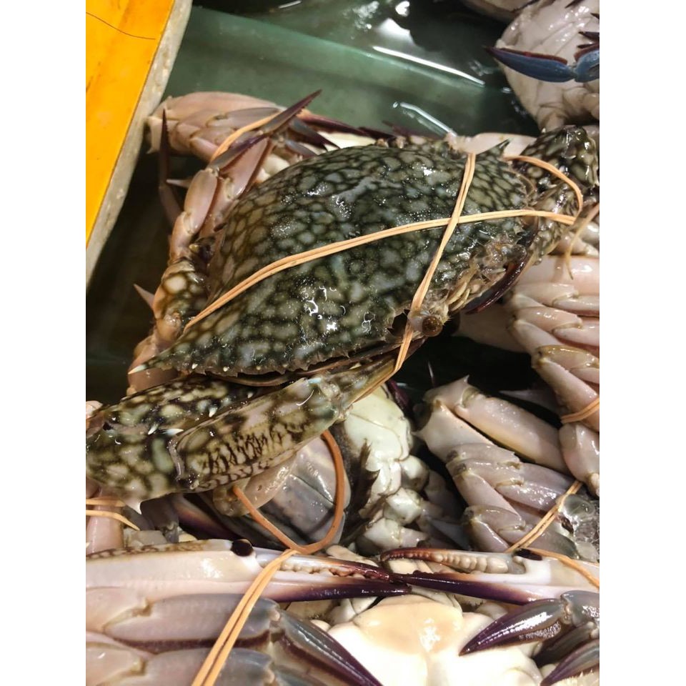 IPOH SEAFOODFEMALE FLOWER CRABS 1KG/花蟹母/KETAM BUNGA BETINA 230250gm