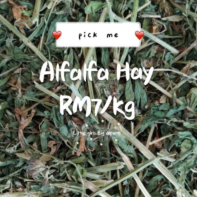 Alfalfa Hay 1kg Dried Imported Hay Jerami Alfalfa for Rabbits Guinea
