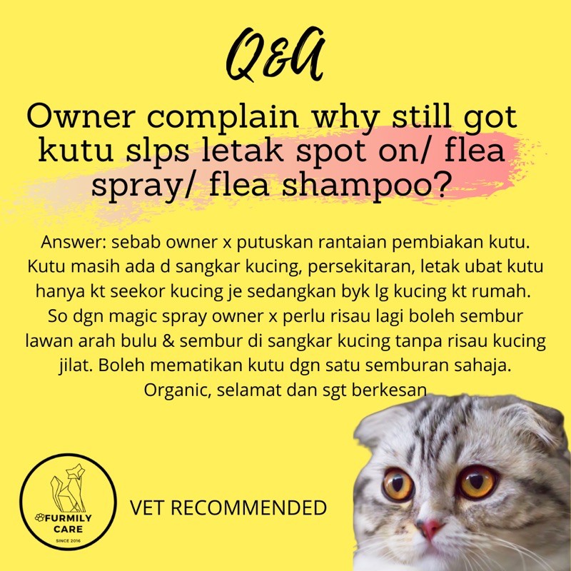 Buy ORGANIK SPRAY KUTU DAN FUNGUS KUCING FLEA AND FUNGAL ORGANIC 