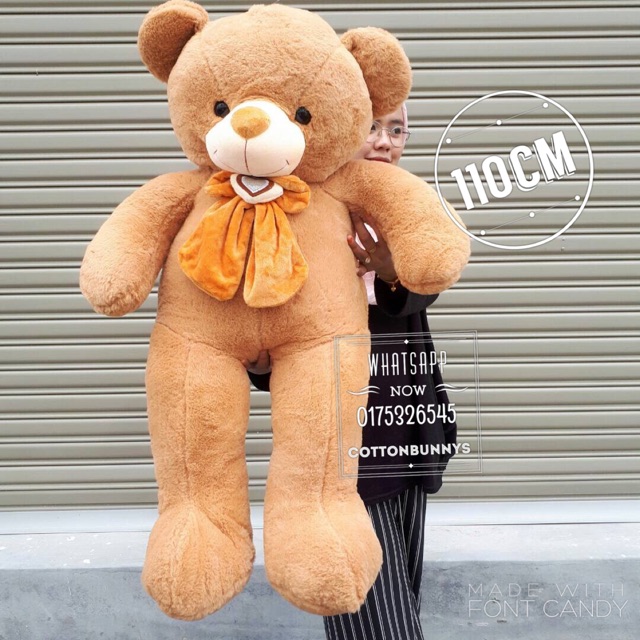 teddy bear shopee