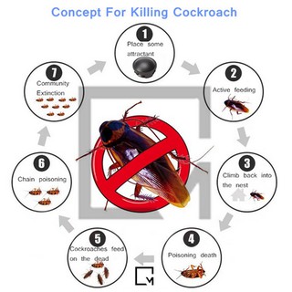 Cockroach Bait Umpan Lipas Ubat Racun Lipas Pest Control 蟑螂药 | Shopee ...
