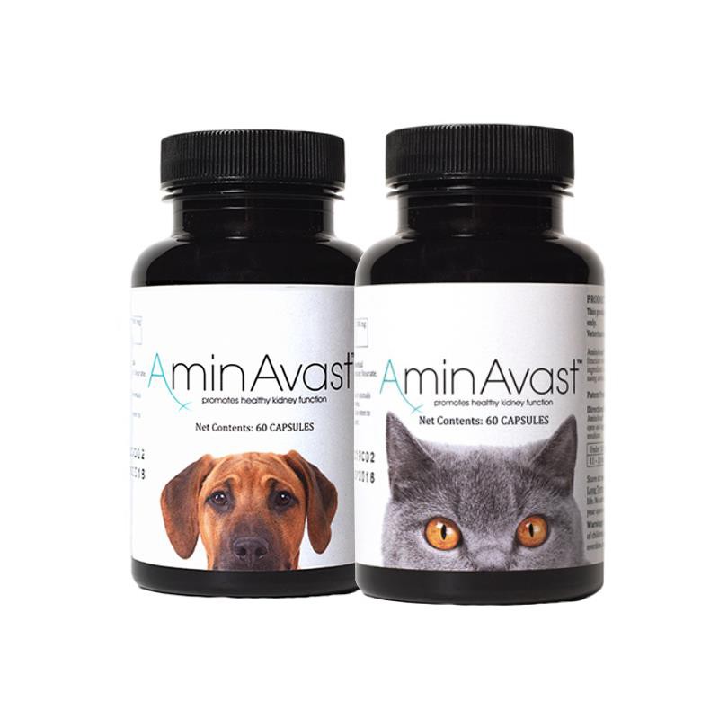AminAvast Kidney Function Support cats/dogs easy to handle version of