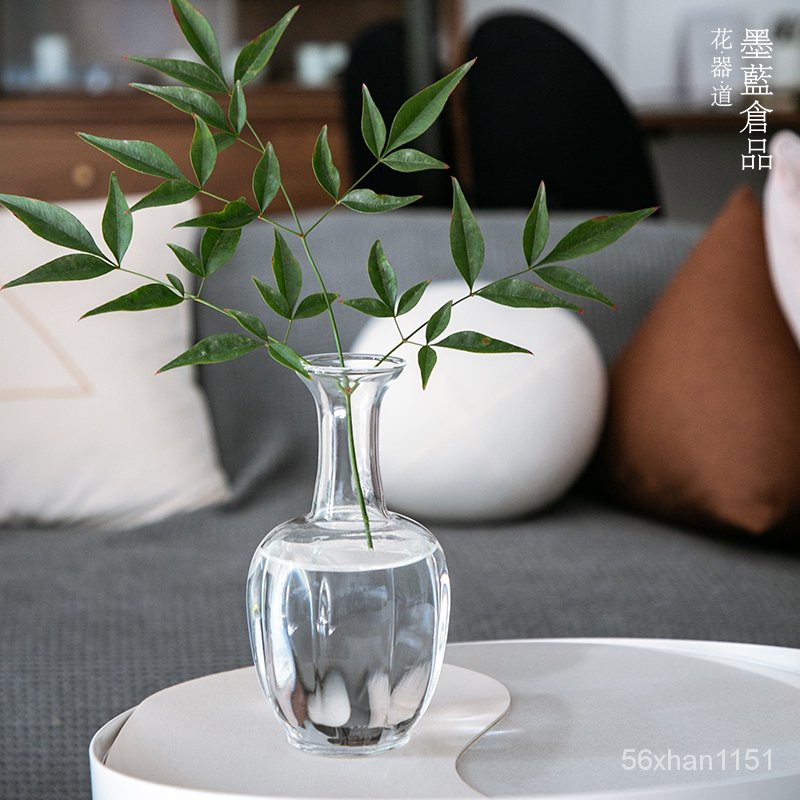 Vase复古日式玻璃花瓶透明花器禅意中式插花器皿客厅桌面摆件梅瓶净瓶 Shopee Malaysia