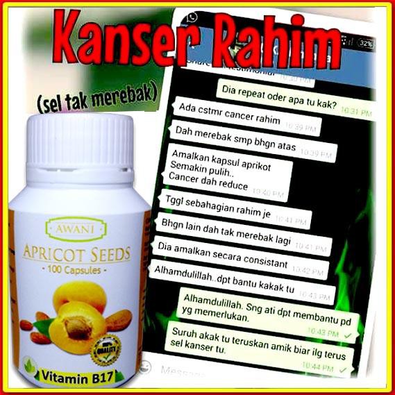 Capsules apricot seed Cancer testimonies