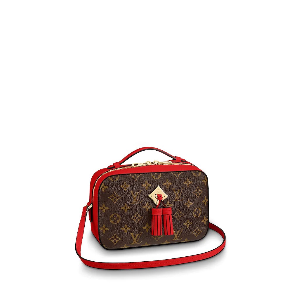 louis vuitton camera bags