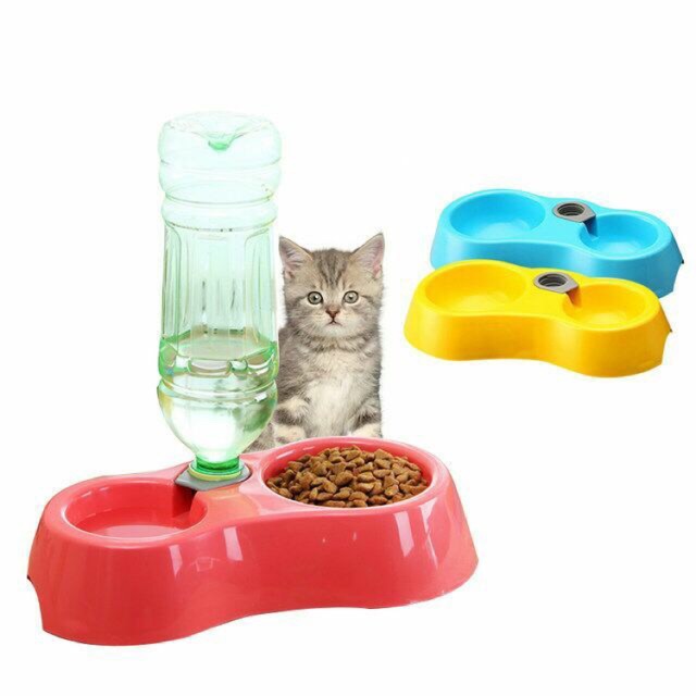 Pet Food Feeder Bowl Bekas Makanan Kucing Shopee Malaysia