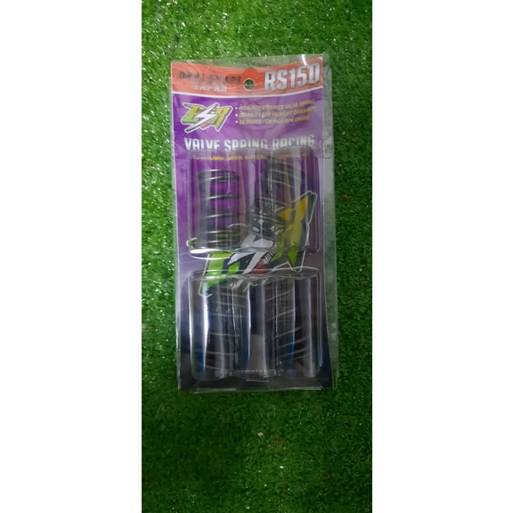 VALVE SPRING ESR RACING HONDA RS150/ OVAL SHAPE Shopee Malaysia