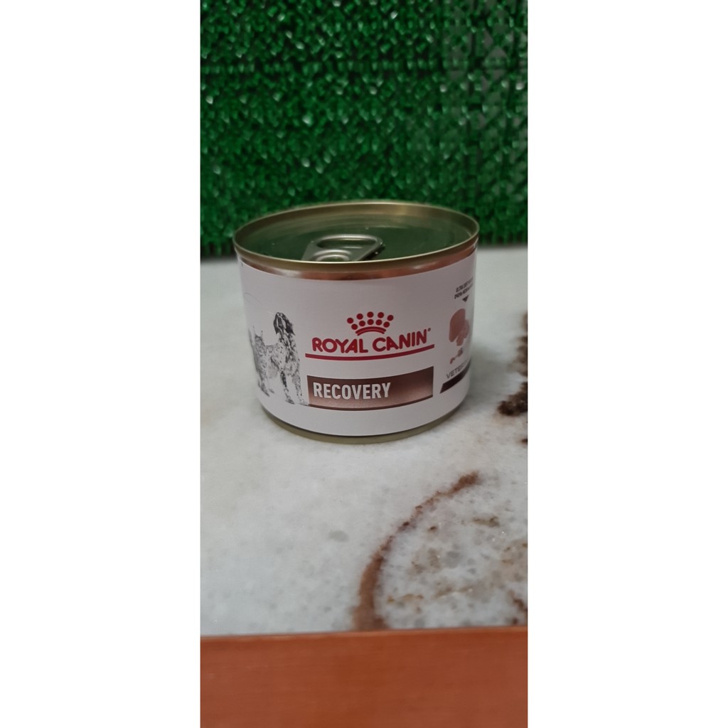 (READY STOCK)Royal Canin Recovery Can Canine & Feline / canned food for