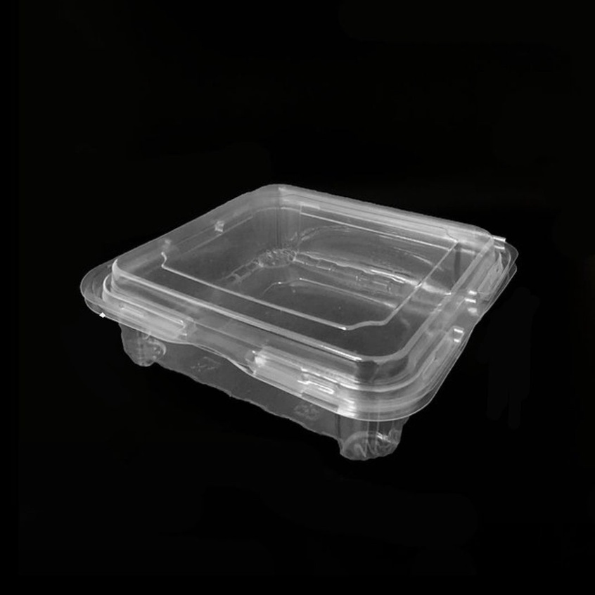 TPP Plastic Tray/ Clam Shell/ Disposable Tray PET - TPPCS-1 (Clear ...