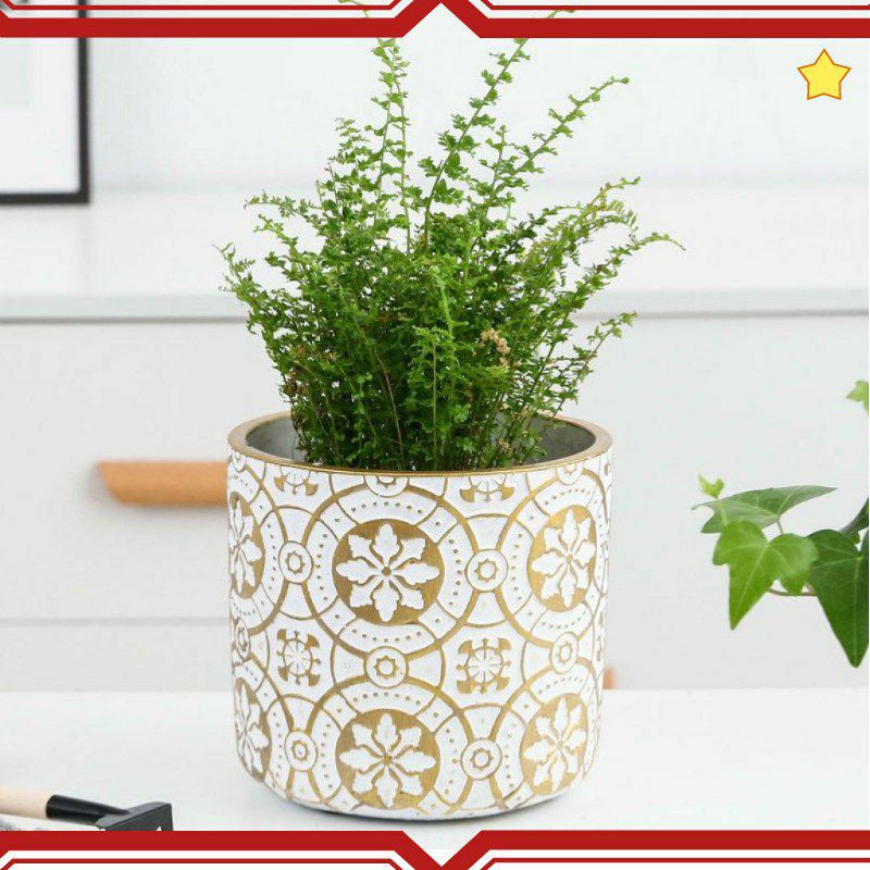 Ready Stock Morroco Nordic Flower Pot  Minimalist  Pasu 