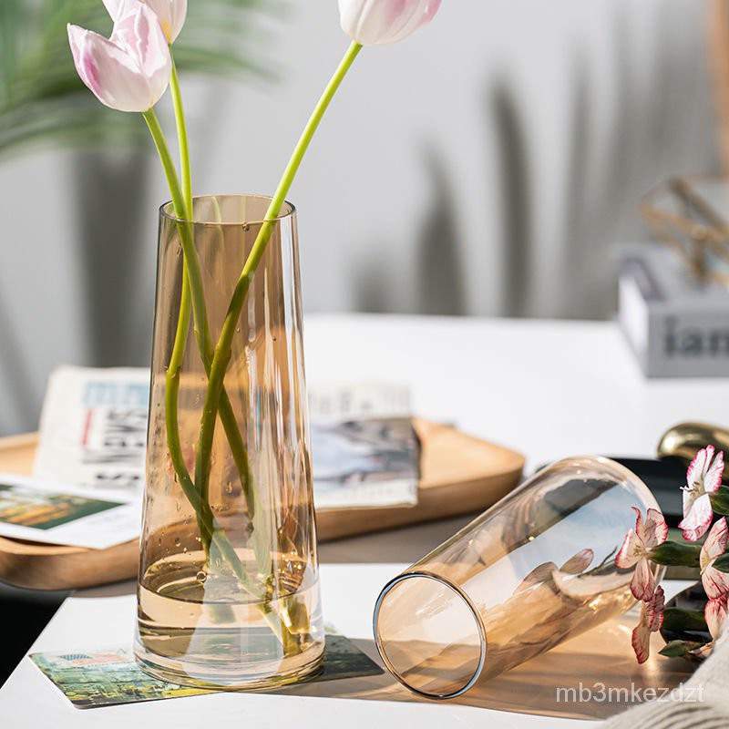 Desktop Ornaments 北欧ins 电镀炫彩系列玻璃花瓶水养鲜花玫瑰插花花瓶客厅创意摆件 Shopee Malaysia