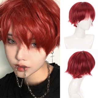 Ailiade Short Curly Synthetic Men S Wig Black Hair Wig With Heat Resistant Stripes Middle Part Wig Cosplay Halloween Wig Shopee Malaysia