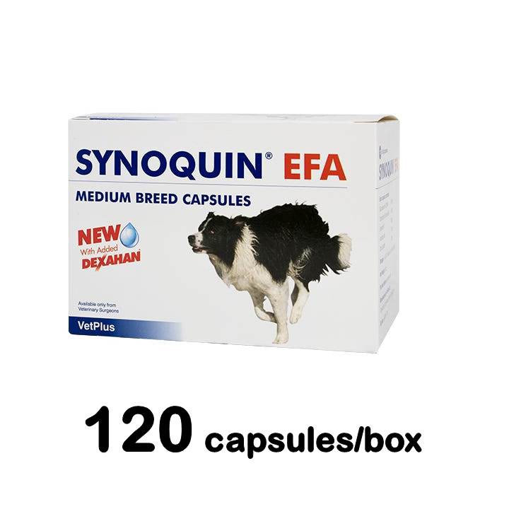 synoquin medium breed