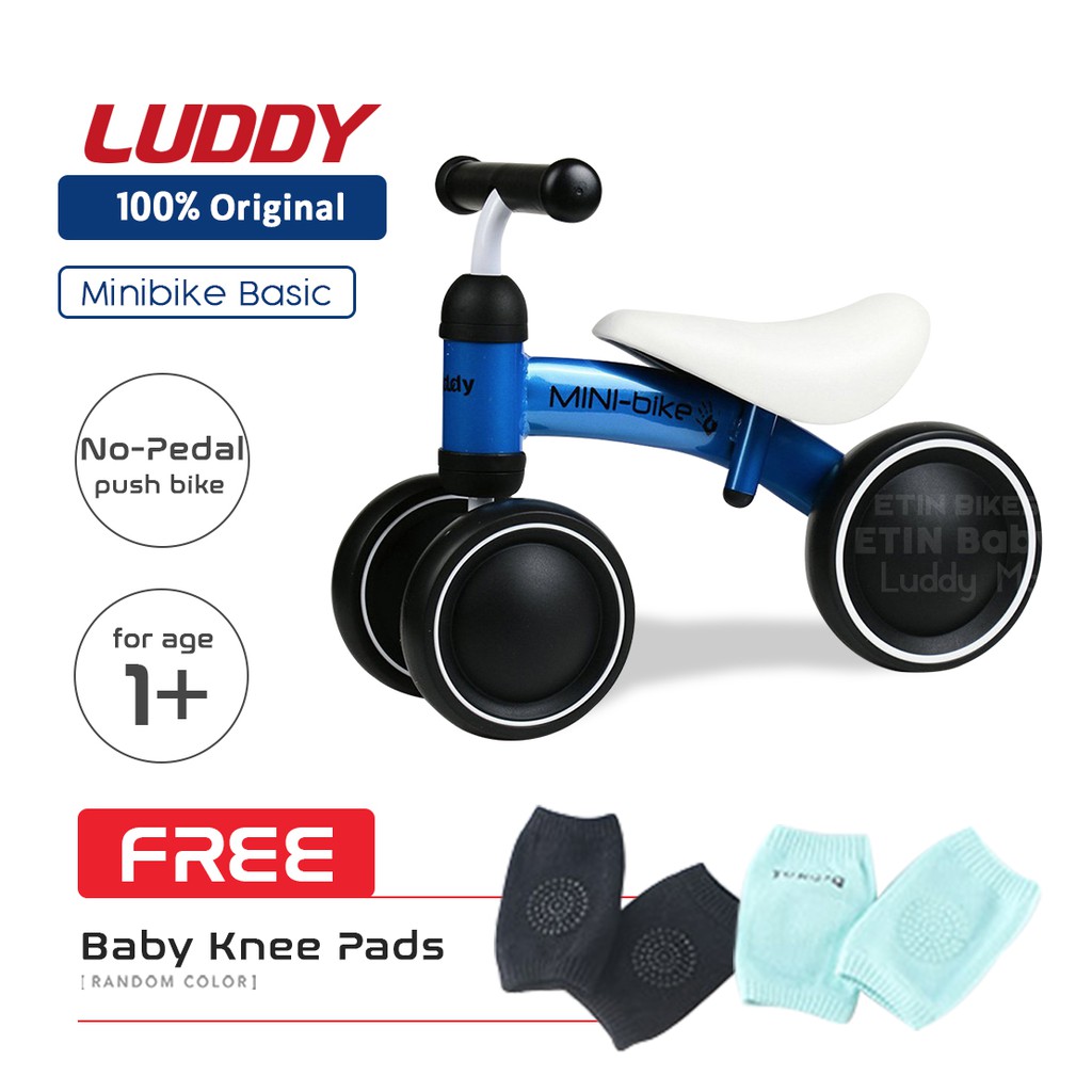 luddy bike