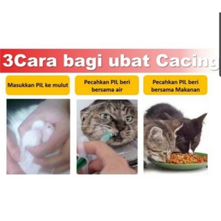 UBAT CACING KUCING ANJING TERBAIK - SEKALI SAJA UNTUK 3 