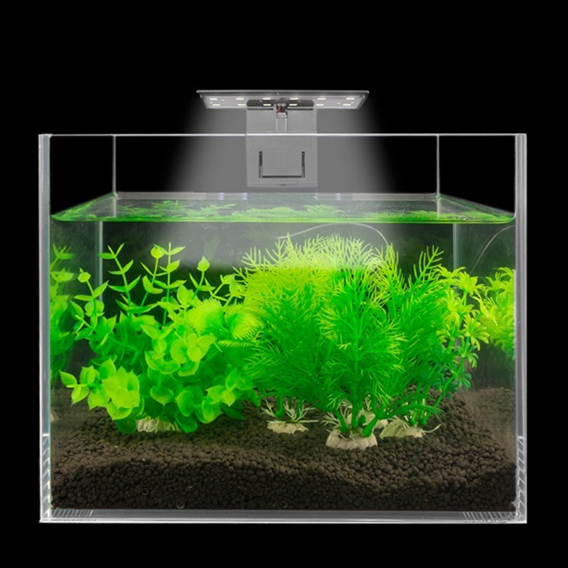 Aquarium Led X3 20-40cm Fish Tank Super Slim Thin Design | Shopee Malaysia