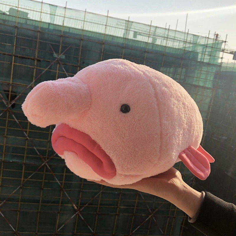 blobfish pillow