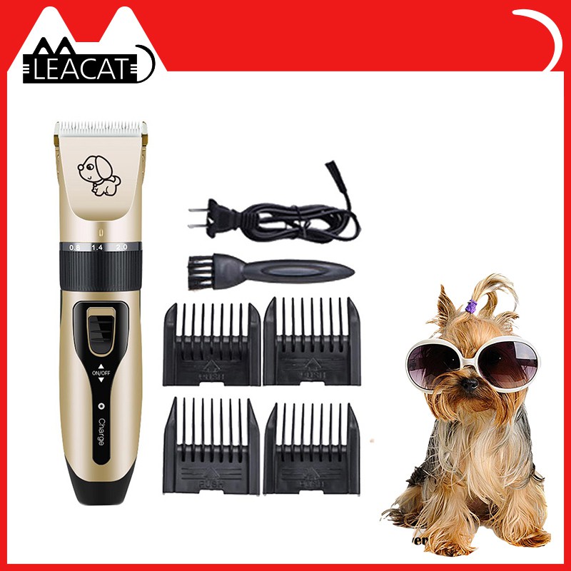 yorkie grooming kit