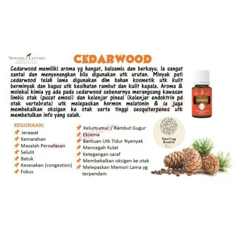 Yl Cedarwood Essential Oil Singles 15ml Shopee Malaysia