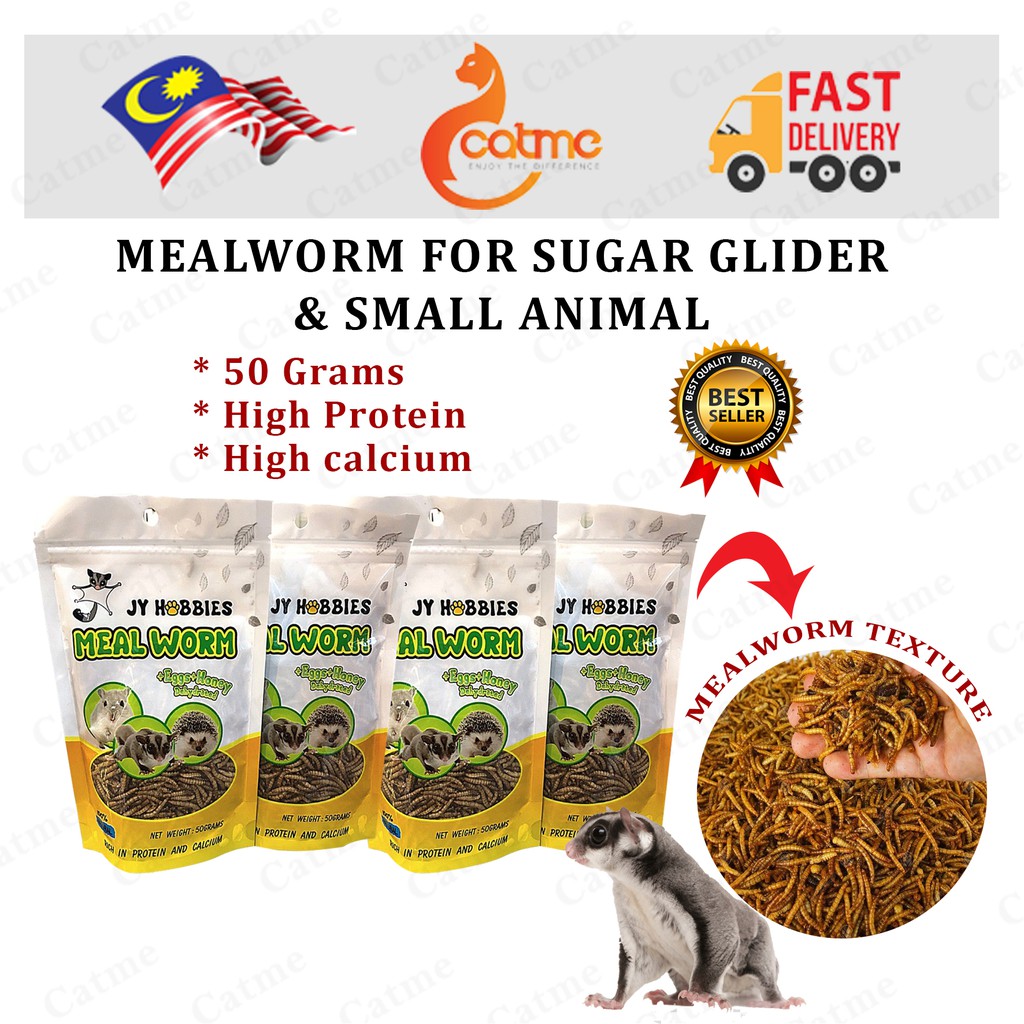 Dried Meal Worm ( Food For Small Animal ) Shopee Malaysia
