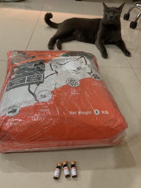 Alprocide Ubat Kutu Kucing  Shopee Malaysia