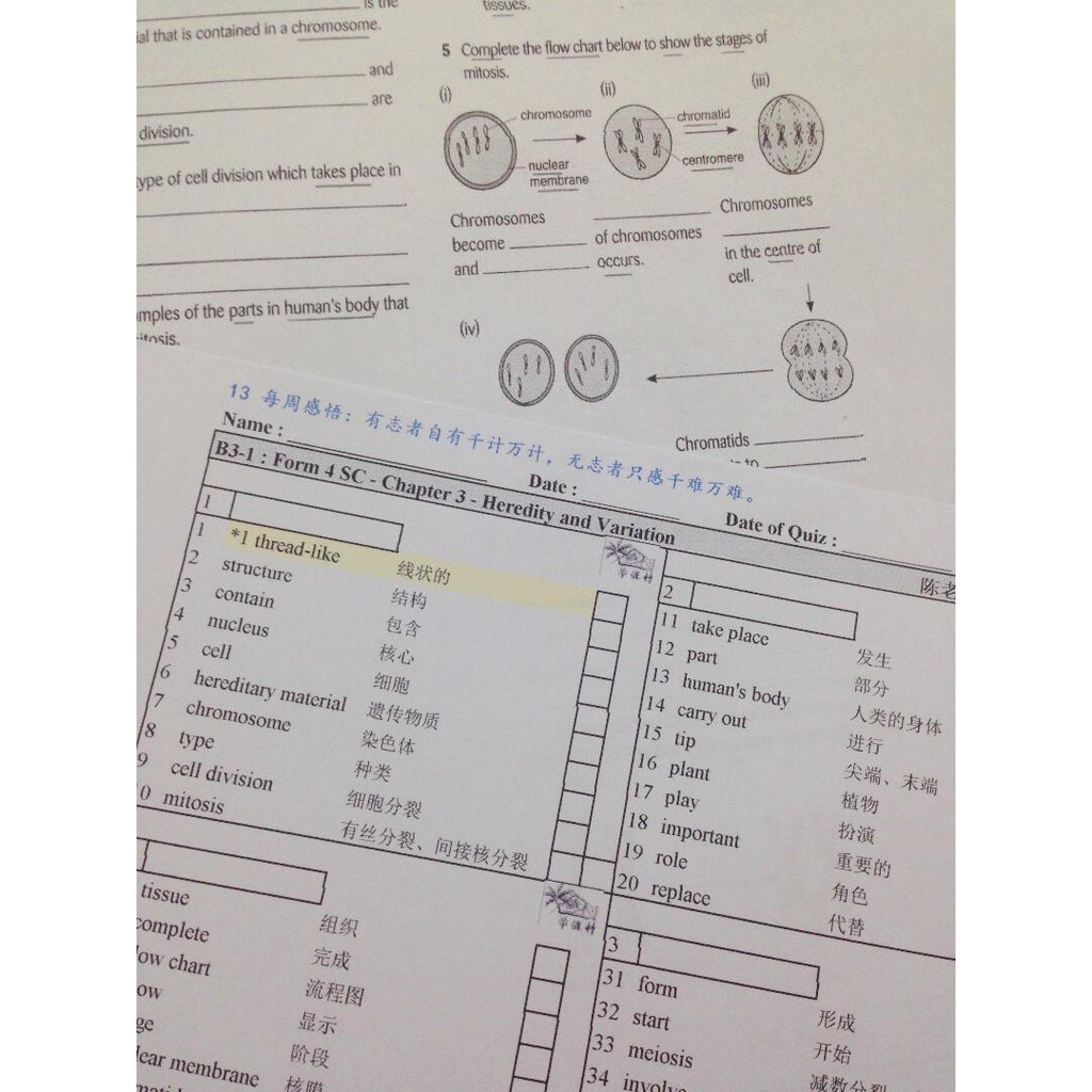 Spm Science Kbsm Spm科学速读笔记 双语词汇翻译表 英文翻译华文 适合年中五学生 双语翻译速读教材 Shopee Malaysia