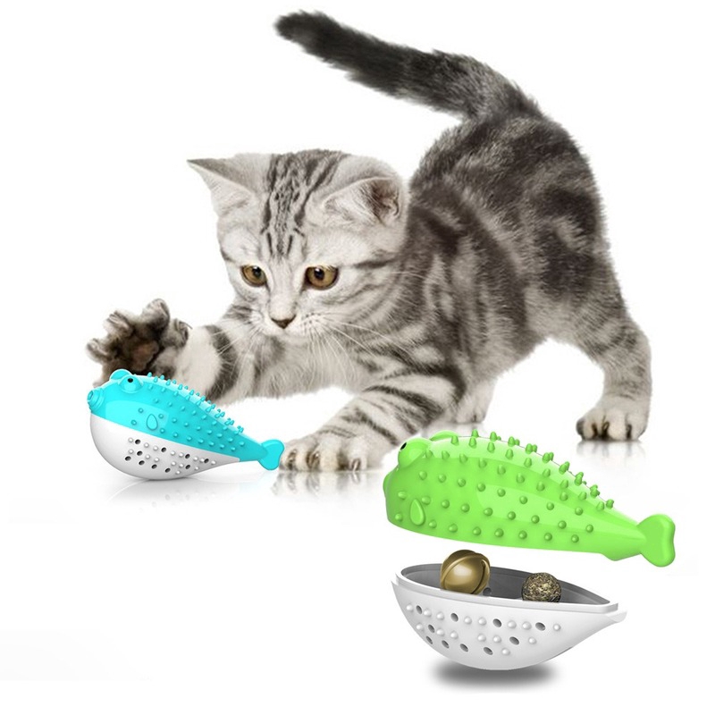 cat toothbrush