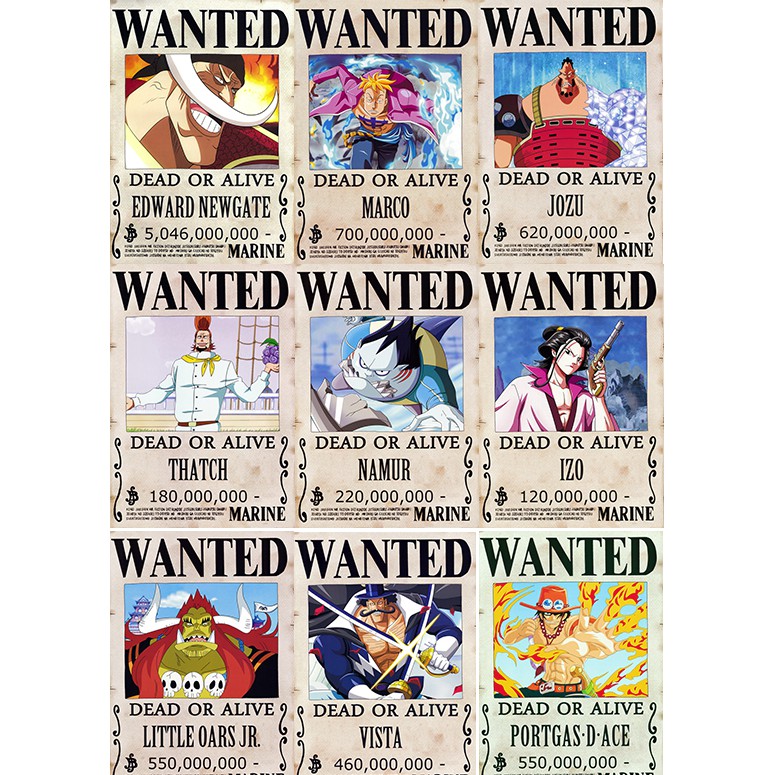 One Piece Wanted Whitebeard Pirates 9 Pcs Poster Straw Hat Cap Pirates Flag Bracelet Brooch T Shirt Decor Japanese Manga Shopee Malaysia