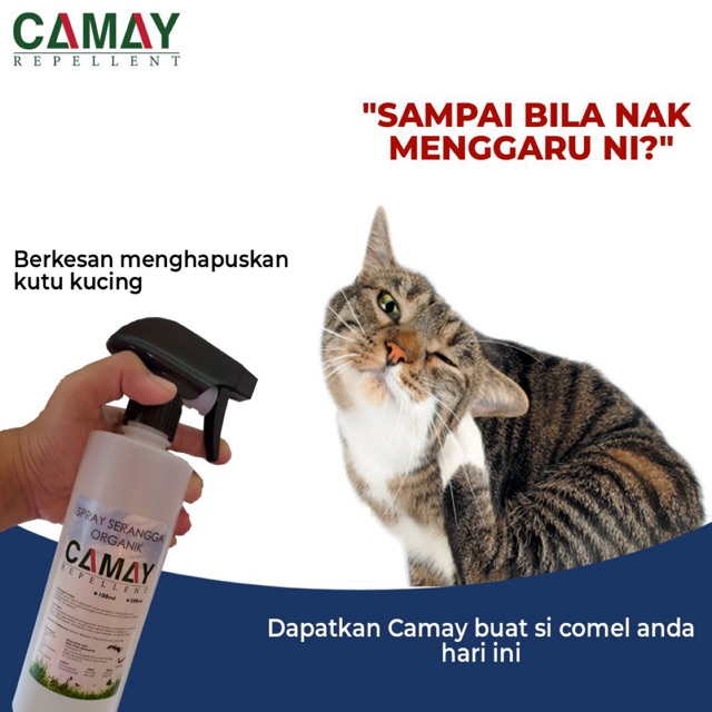 Ubat Kutu Kucing CAMAY INSECT REPELLENT Spray  Shopee 