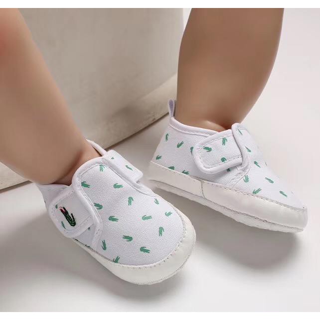 lacoste shoes for babies