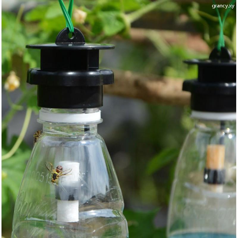 Ready Stock Perangkap Lalat Buah Fruit Fly Trap With Attractant Effective Easy Organic Lure Pemikat Pest Control Shopee Malaysia