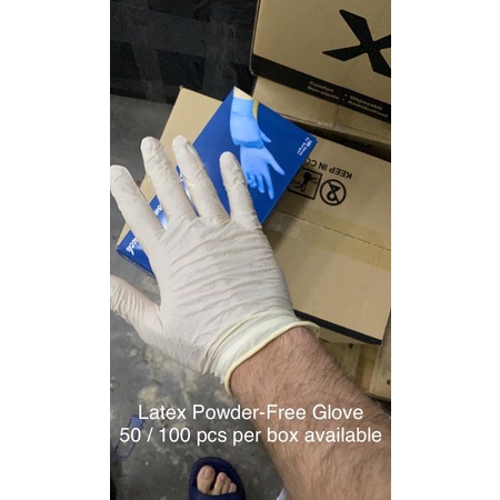 [Wholesale]Latex Powder-Free Glove(Boxed) [ReadyStock]