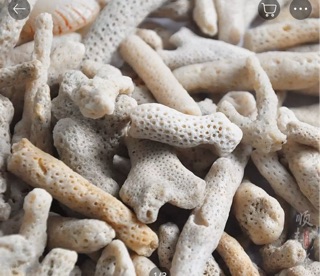 Batu Karang 500gm XL Coral Stone biological filter use Batu Karang 500gm XL Coral Stone biological filter use