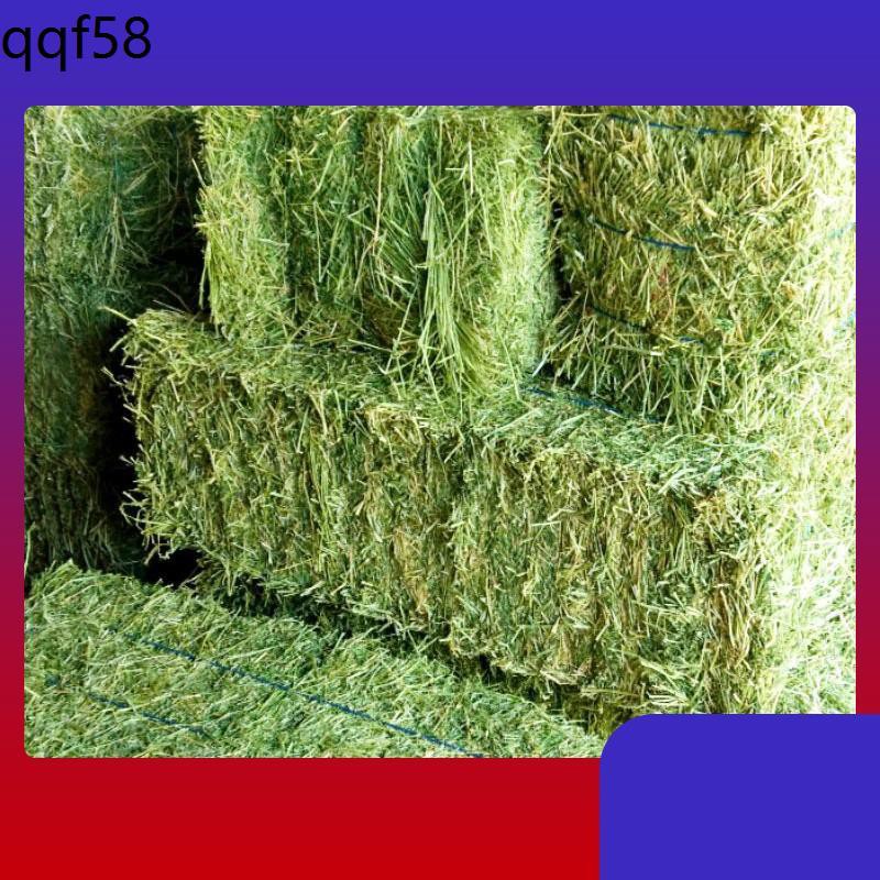 Picture Idea: 1Kg Alfafa Hay Arnab Guinea Pig Dan Haiwan Lain 1Kg