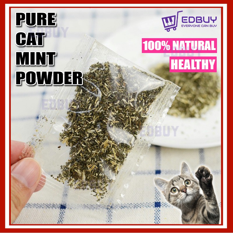 Buy Pure Cat Mint Powder (2G) / Ganja Kucing / Catnip / Cat Nip 