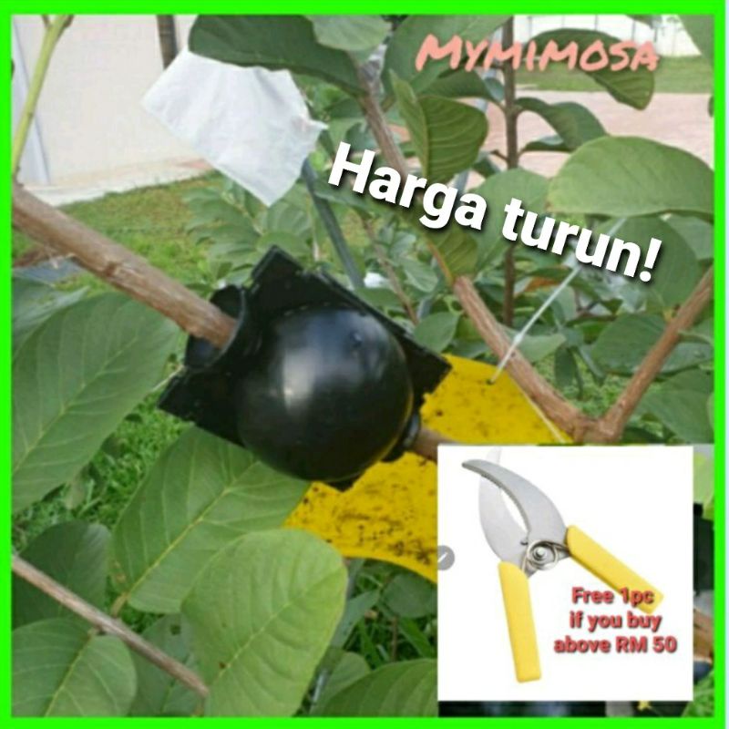 Air Layering Plant Rooting Device Rooting Balls Garden Fruit Tree