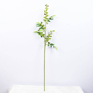 4 serangkai dengan daun simulasi buah merah gelembung berry akasia 